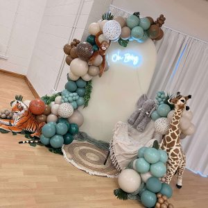 sailboard and balloons